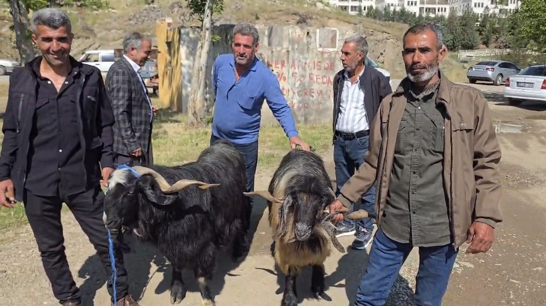 Bayram öncesi hayvan pazarına ilgi arttı
