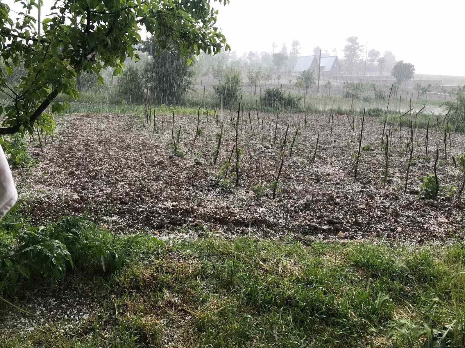 Bursa’da dolu… Keles’te tarım arazilerini dolu vurdu
