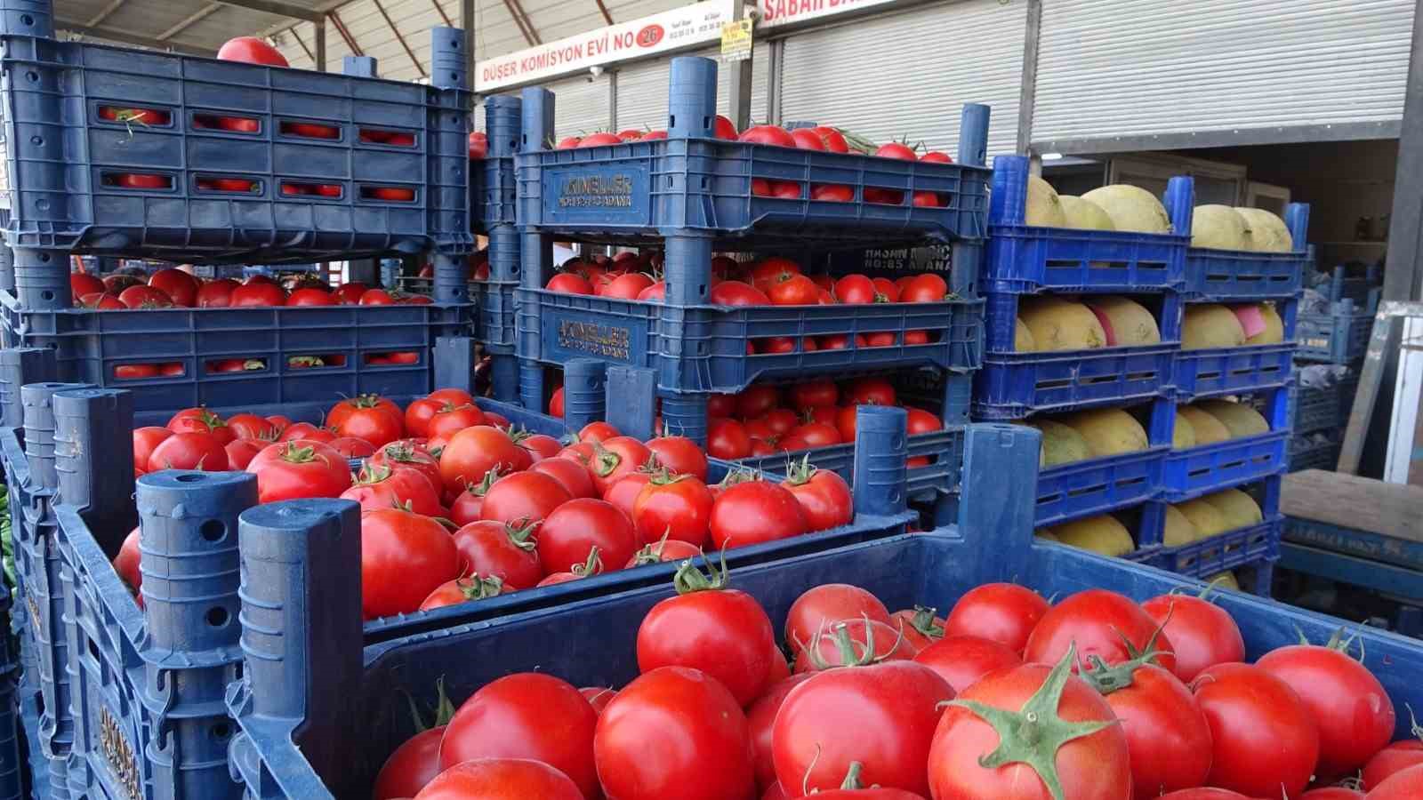 Sebze halindeki domatesin fiyatı 15 TL’ye düştü

