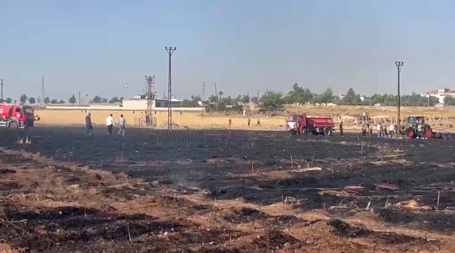 Şanlıurfa’da çıkan yangında 60 dönüm buğday ekili alan zarar gördü
