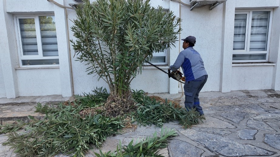 Bodrum Belediyesi’nden okullara bakım ve onarım desteği
