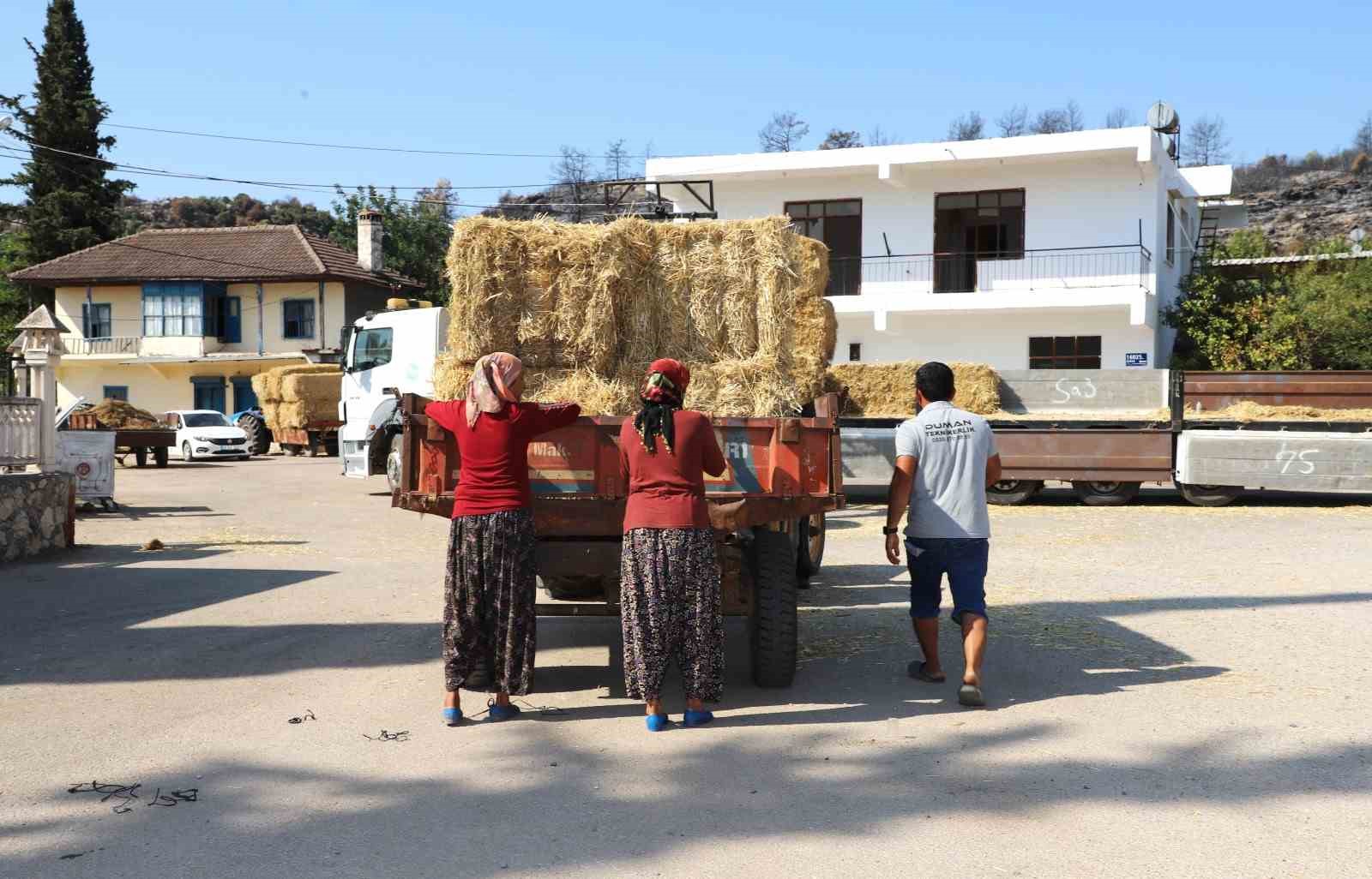 Aksu’da yangından etkilenen bölgelere saman desteği