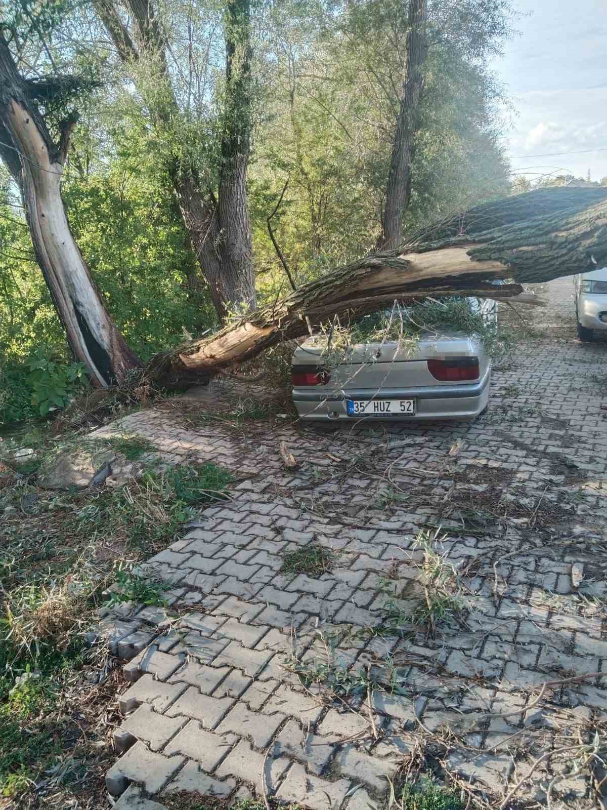 Fırtınada kökünden sökülen ağaç otomobilin üzerine devrildi

