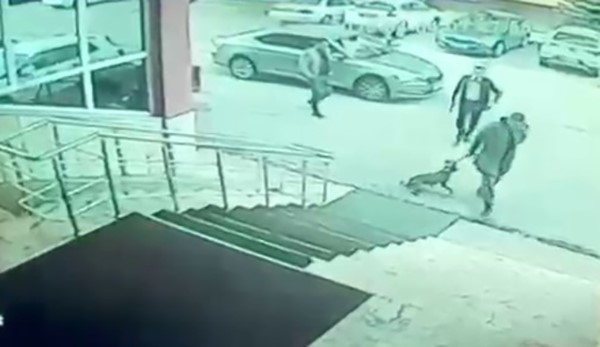 Erzurum Palandöken Kaymakamı ve korumasına soruşturma açıldı
