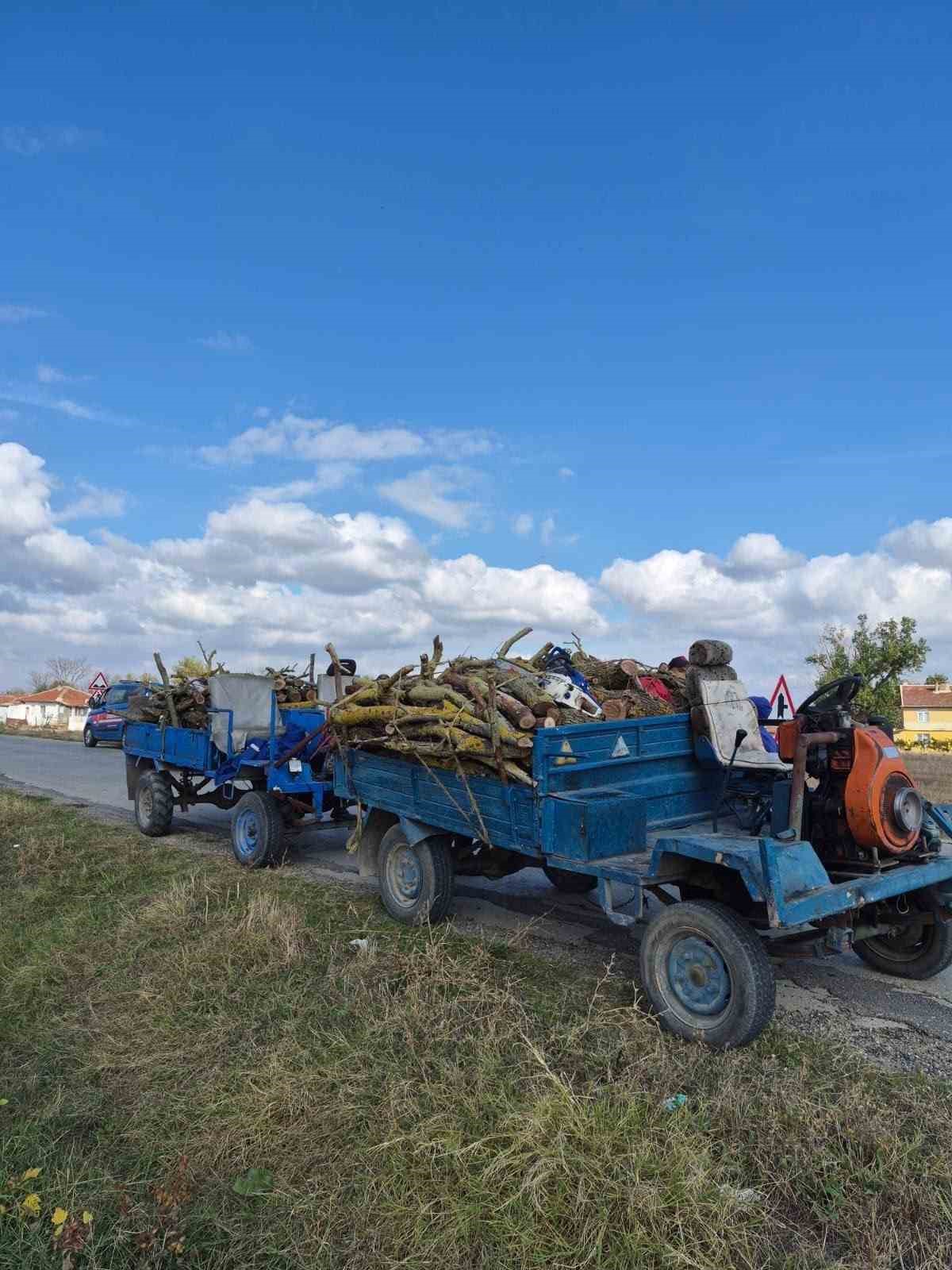 Hazine arazisinden kestikleri odunlarla yakalandılar
